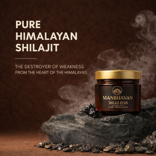 ManBhavan Pure Himalayan Shilajit Resin 60g Premium