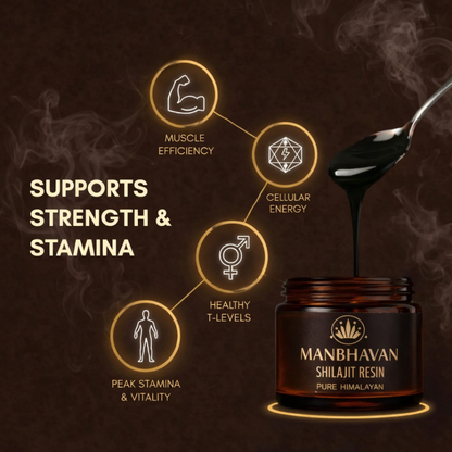 ManBhavan Pure Himalayan Shilajit Resin 20g Premium