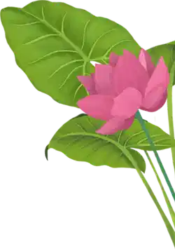 Nature's Finest Wellness Ingredients